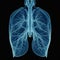 3d scanner of lungs and respiratory system. AI generative technology