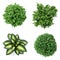 3d set of home plants