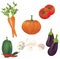 3D Set of Vector Vegetables. Illustration Collection of Tomatoes, Peppers, Pumpkin, Mushrooms, Carrot