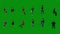 3d Several american immigrant workers on green screen walking and talking sitting and standing in office in high quality 4k isola
