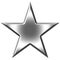 3D Silver Star