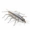 3d Silverfish: Metal Insect With Long Legs And Tail