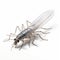 3d Silverfish: A Supernatural Creature In Plastic With Fine Feather Details