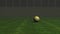 3D Soccer ball on the field, 3d looping animation.