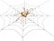 3d spider from the gold, sitting on a web