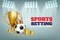 3d sport ball, win money, golden crown and goblet. Digital soccer bets, game match, winner award on football cup