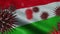 3D Spreading Coronavirus Disease on a Waving Hungary Flag