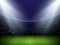 3D stadium lighting. Sport field. Football activity at night playground. Spotlight rays and shadows. Green grass. Soccer