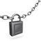 3D Steel Lock and Chain