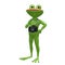 3D Stock Illustration Frog with a Camera