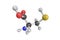 3d structure of Cysteine (abbreviated as Cys or C), a semi-essential proteinogenic amino acid. It is encoded by the codons