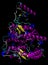 3D structure of the human ACE2 enzyme, the coronavirus SARS-CoV-2 entry point, causing COVID-19. PDB 1R42