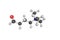 3d structure of Trimethylaminobutyraldehyde, one of four enzymes