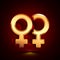 3D stylized Double Venus icon. Golden vector icon. Isolated symbol illustration on dark background