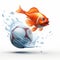 3d Super Realistic Fish Chasing Ball Clipart