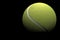3d tennis ball isolated