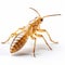 3d Termite: Golden Body Insect With Subtle Irony And Naturalistic Poses