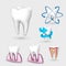 3d tooth collection. Set Tooth. Vector illustration.