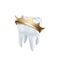 3D Tooth with Golden Crown