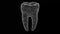 3D tooth rotates on black bg. Object dissolved flickering particles. Scientific medical concept. For title, text