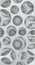 3D vector pattern featuring layered circles in a subtle shade of grey