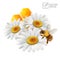 3d vector realistic flowers chamomile with honeycomb and a bee extracting honey and propolis