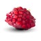 3d vector realistic pomegranate, tropical fruit set, isolated on white background. Set ripe pomegranate. Red ruby