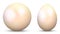 3D Vector Sphere and Egg - Side by Side - Textured with Pearl , Nacre Material.