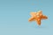 3d Vector StarFish, Summer Journey, Time to Travel Concept