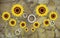 3d wallpaper sunflower flowers are yellow on a background of rocks