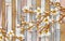 3d wallpaper white flowers with golden branches on a background of colored stone