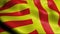 3D Waving Belgium City Flag of Peer Closeup View