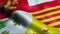 3D Waving Belgium Province Flag of Liege Closeup View