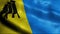 3D Waving Brazil City Flag of Porto Velho Closeup View