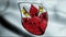 3D Waving Germany City Coat of Arms Flag of Unna Closeup View