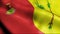 3D Waving Venezuela City Flag of Ejido Closeup View