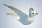 3D white Pigeon dove