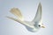 3D white Pigeon dove