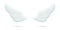 3d white two angel wings, abstract freedom symbol, realistic mockup of flying birds
