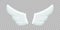 3d white two angel wings, abstract freedom symbol, realistic mockup of flying birds