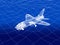 3D wireframe of warplane flies over a sea