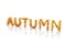 3d Word autumn written with leaves.