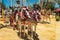 4 carriages harnessed by festively decorated Andalusian horses of light gray color on the Horse Feria, Jerez de la Frontera, Andal