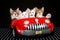 4 Cute kittens in red soft toy car