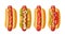 4 different types hotdog with tomato, ketchup, mayo, lettuce, mustard, onion. Vector color flat icon