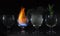 4 elements water fire earth air