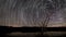 4 K Spiral Star trails with reflection on Lake. Lonely old tree