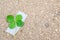 4-leaf clover made by taping on an additional leaf, a traditional good luck charm