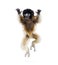 4 months old baby Crowned Sifaka jumping against white