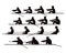 4 teams of rowers in boats and canoes for the race. Silhouette. Illustration
